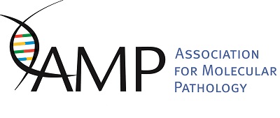 AMP Test Small Logo